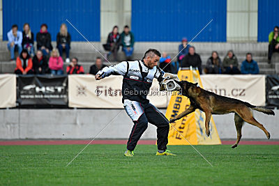 Ghandi from Mike`s Place